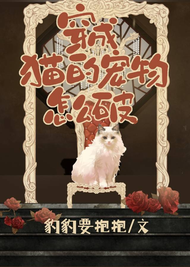 怎么把猫变成乖猫